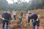 黄山广州已打造首批32处“绿美宗教活动场所”