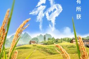 黄山芒种节气小知识来了 夏种作物都有什么？